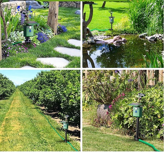 Vízsugaras madár-, kutya-, macska- és vadállat riasztó~mv2